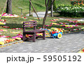 ダリヤ 59505192