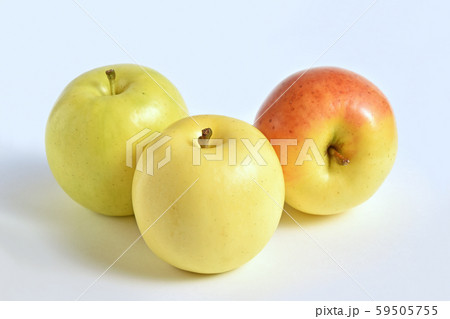 りんご（もりのかがやき） 59505755