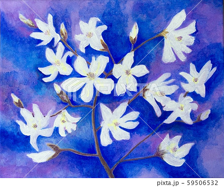 花あかり 59506532