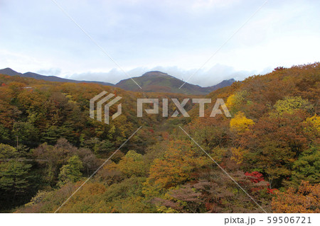 那須高原の紅葉、つつじ吊り橋から 那須高原の紅葉、つつじ吊り橋から 59506721