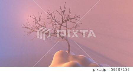 New Year card christmas coniferous tree covered by snow over abstract toon clouds and snowdrifts 59507152