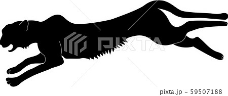 走る チーター リアル デザイン シルエット 白黒 イラスト 躍動感 シンプル 明るい 野生動物のイラスト素材
