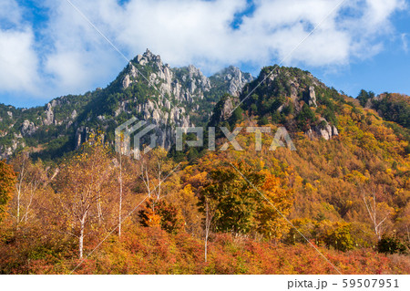 みずがき山自然公園 から瑞牆山の紅葉 59507951