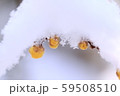 雪布団 59508510
