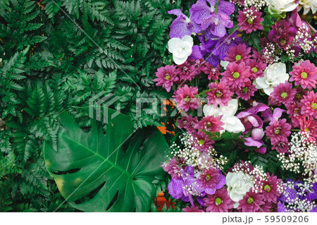 purple flower green leaves decorating on wall 59509206
