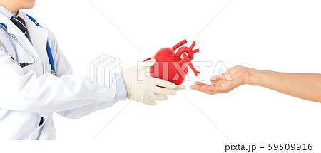 doctor hold heart send to heart disease patients , cardiology symptoms in white background doctor hold heart send to heart disease patients , cardiology symptoms in white background 59509916