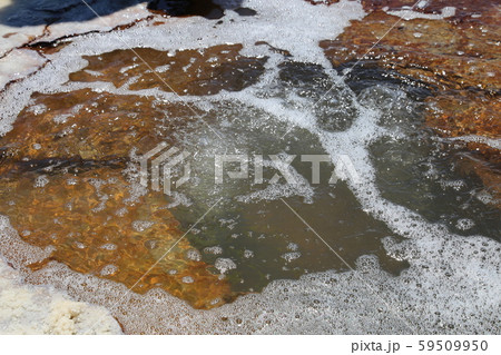 塩の目　ウユニ塩湖 59509950