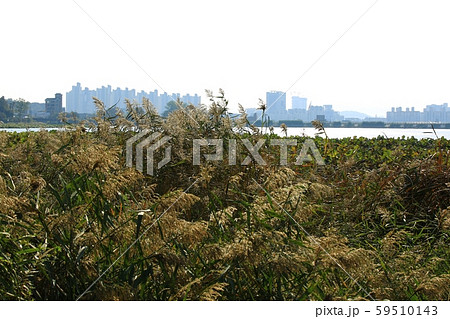 秋 独立記念館 建物 59510143