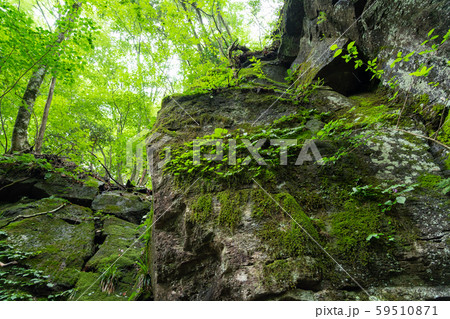 栃木県矢板市 緑と崖 (8月) 栃木県矢板市 緑と崖 (8月) 59510871