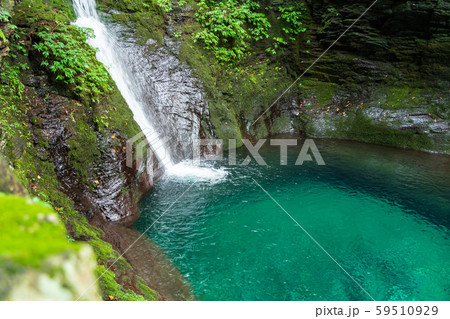 栃木県矢板市　おしらじの滝　（8月） 59510929