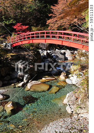 夕森公園もみじ橋 59511103