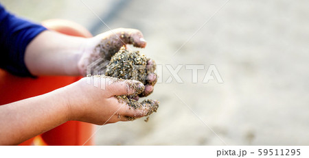 子供が砂で団子を作っている手とコピースペース 子供が砂で団子を作っている手とコピースペース 59511295