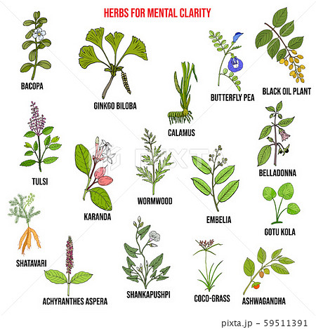 Best herbs for mental clarity 59511391