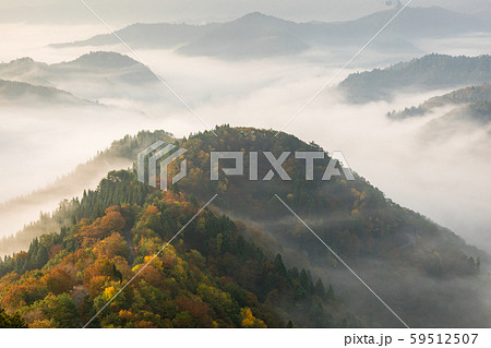 紅葉の谷を埋める雲海 紅葉の谷を埋める雲海 59512507