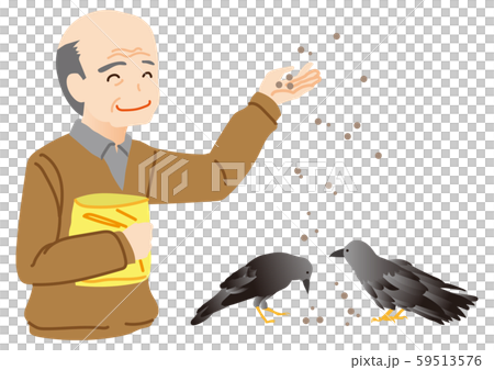 Feeding crow Feeding crow 59513576