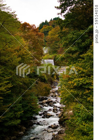 川の流れ 59514058