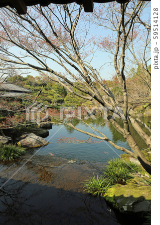 早春の好古園 59514128