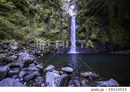 （静岡県）須津川渓谷　大棚の滝 59514554