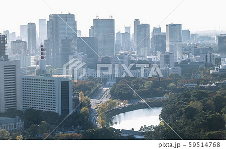 日本の東京都市景観　「祝賀御列の儀」。国会前を右折するオープンカー・歴史的瞬間＝11月10日 59514768