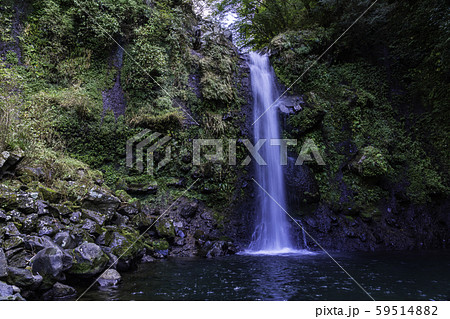 (静岡県)須津川渓谷 大棚の滝 (静岡県)須津川渓谷 大棚の滝 59514882