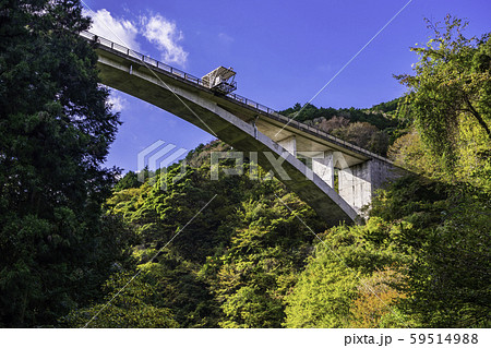 （静岡県）須津川渓谷　バンジージャンプ台を見上げる 59514988