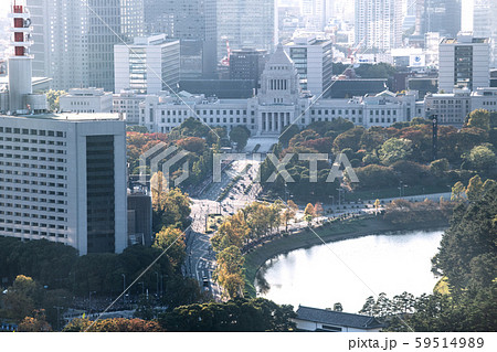 日本の東京都市景観　「祝賀御列の儀」。国会前にさしかかるオープンカー・歴史的瞬間＝11月10日撮影 59514989