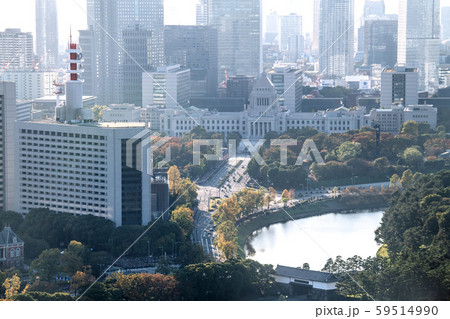 日本の東京都市景観　「祝賀御列の儀」。国会前にさしかかるオープンカー・歴史的瞬間＝11月10日撮影 59514990