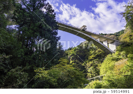 (静岡県)須津川渓谷 バンジージャンプ台を見上げる (静岡県)須津川渓谷 バンジージャンプ台を見上げる 59514991