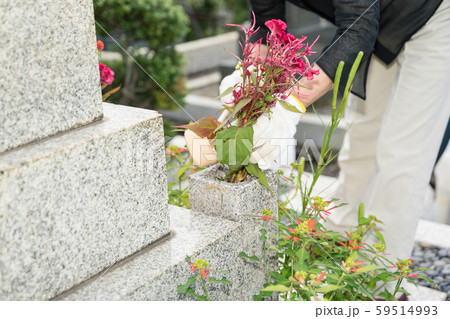 墓参り お花に水をやる 墓参り お花に水をやる 59514993