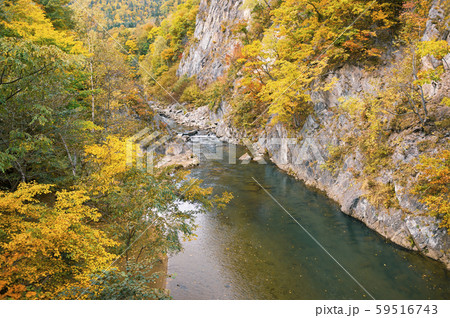 秋の定山渓 二見吊橋からの眺め 59516743