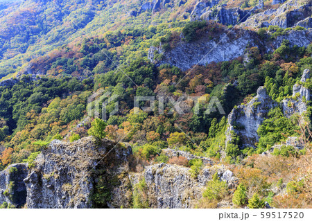 小豆島　寒霞渓　紅葉 59517520