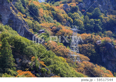 小豆島　寒霞渓　紅葉 59517544