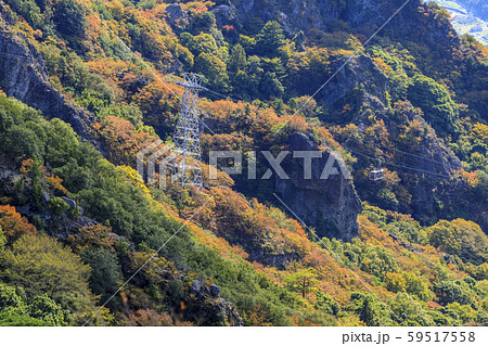 小豆島　寒霞渓　紅葉 59517558