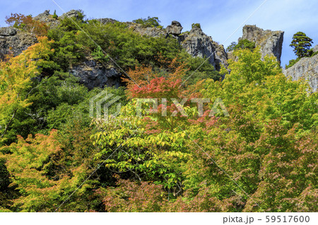 小豆島 寒霞渓 紅葉 小豆島 寒霞渓 紅葉 59517600