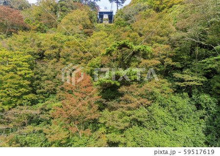 小豆島 寒霞渓 紅葉 小豆島 寒霞渓 紅葉 59517619