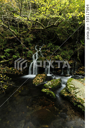 元滝伏流水 元滝伏流水 59517964