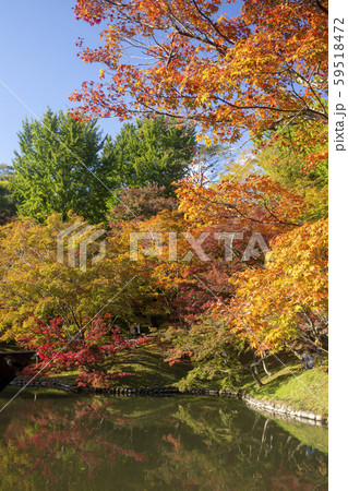 用作公園 紅葉 用作公園 紅葉 59518472