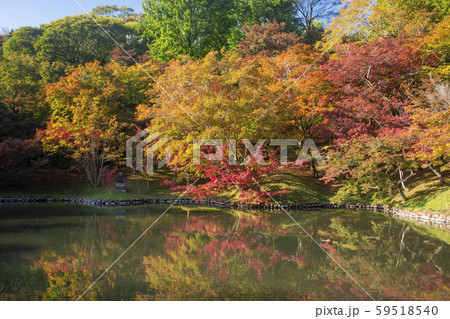 用作公園 紅葉 用作公園 紅葉 59518540