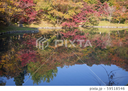 用作公園 紅葉 用作公園 紅葉 59518546