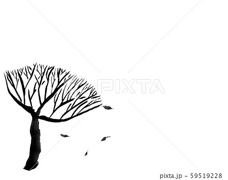 冬の木(墨の手描きイラスト) 冬の木(墨の手描きイラスト) 59519228
