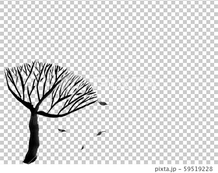 冬の木(墨の手描きイラスト) 冬の木(墨の手描きイラスト) 59519228
