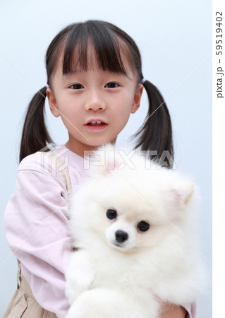 ポメラニアン (犬 ドッグ イヌ 生物 動物 血統書 仔犬 子供 ホワイト 白 仲良し 抱っこ) 59519402
