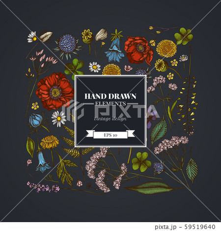 Square floral design on dark background with shepherd s purse, heather, fern, wild garlic, clover Square floral design on dark background with shepherd s purse, heather, fern, wild garlic, clover 59519640