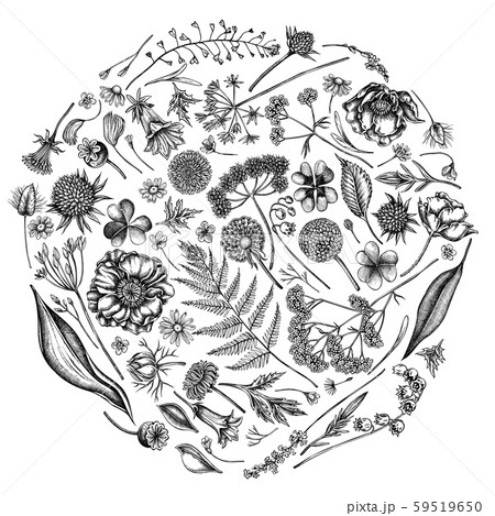 Round floral design with black and white shepherd s purse, heather, fern, wild garlic, clover 59519650