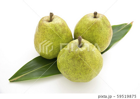 ラフランス 59519875