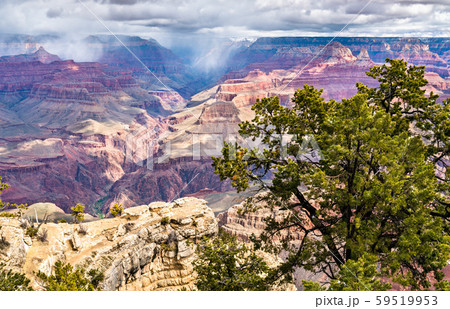 Grand Canyon as seen from Mather Point 59519953