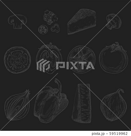 Vector products set of hand drawn vector sketches. Vector products set of hand drawn vector sketches. 59519962
