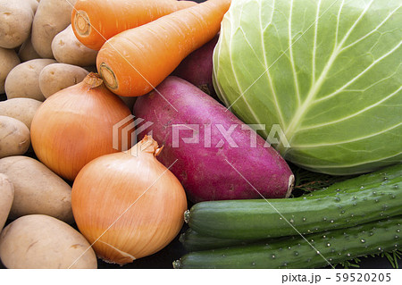 野菜 野菜 59520205