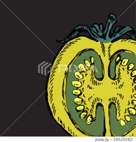 Set of hand drawn tomato. Organic eco food. 59520562