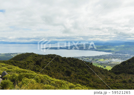 ニュージーランド　タウポ　タウハラ山頂から見えるタウポの街とタウポ湖 59521265